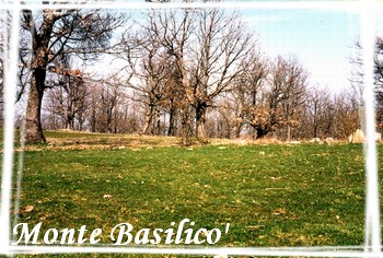 Monte Basilico'